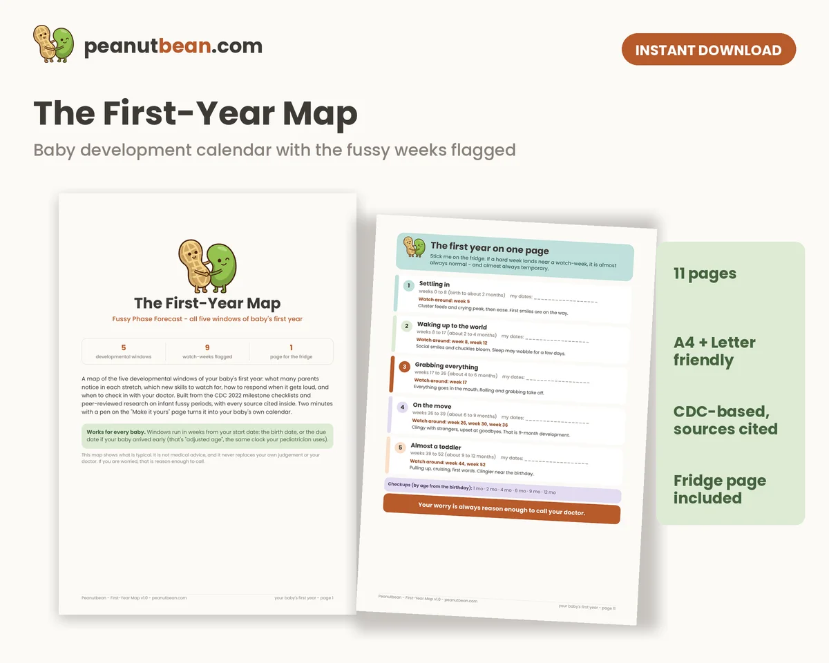 Preview of The First-Year Map cover and its one-page first-year summary